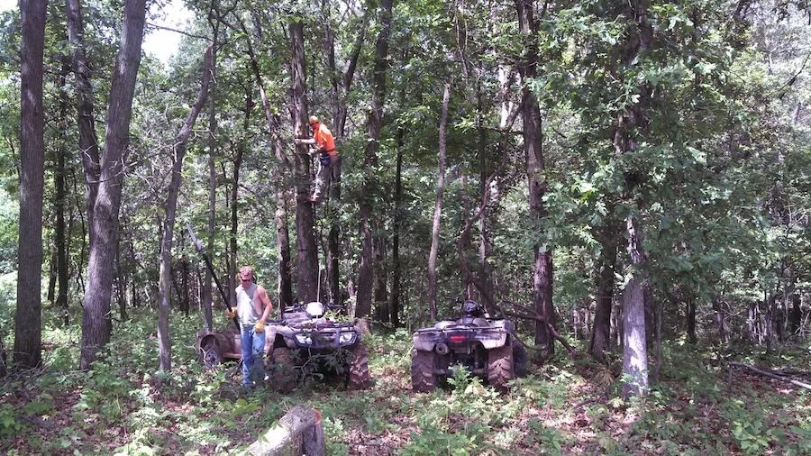 5 Tips for Pre-Season Tree Stand Safety Checks