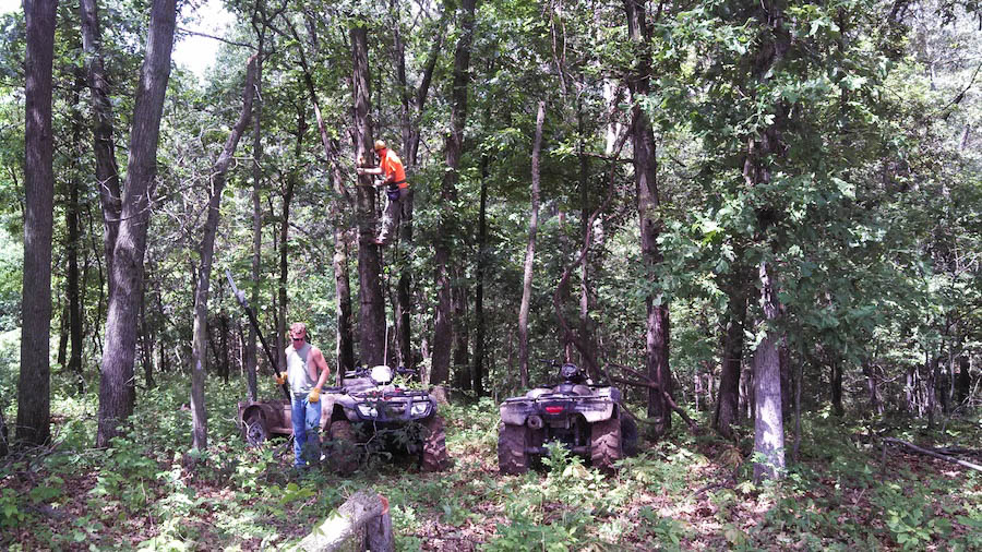 Treestands vs Ground Blinds