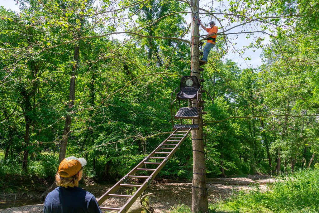 Tree Stand for Whitetail Hunting
