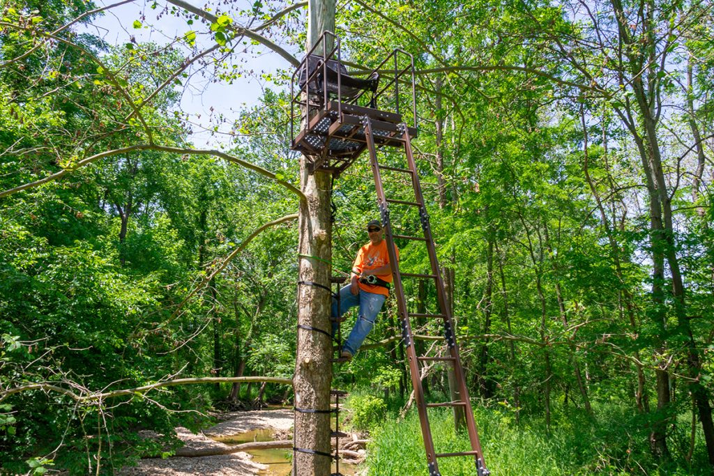 Whitetail Hunting Treestand Test
